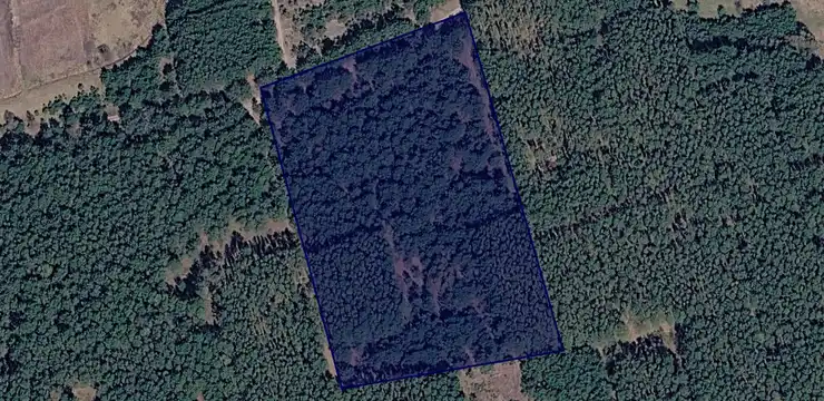 Działka na sprzedaż - WIELKOPOLSKIE, czarnkowsko-trzcianecki, Wieleń, Biała 377