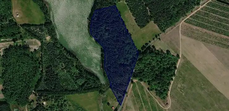Działka na sprzedaż - ZACHODNIOPOMORSKIE, choszczeński, Bierzwnik, Zieleniewo 597/3
