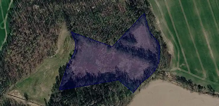 Działka na sprzedaż - DOLNOŚLĄSKIE, dzierżoniowski, Dzierżoniów, Roztocznik 342