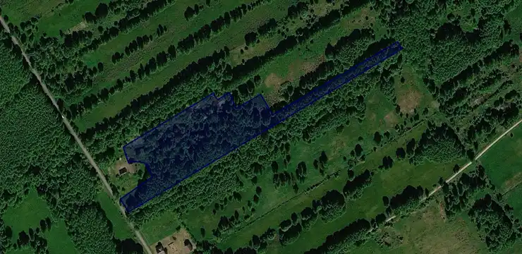 Działka na sprzedaż - LUBUSKIE, strzelecko-drezdenecki, Zwierzyn, Brzezinka 83/2