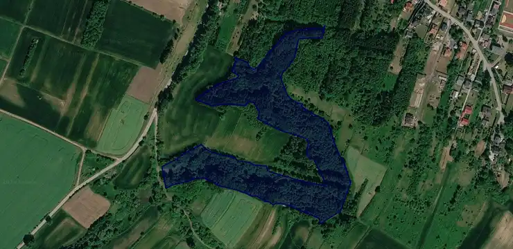 Działka na sprzedaż - ŚWIĘTOKRZYSKIE, ostrowiecki, Ćmielów, Ćmielów - Miasto 1781