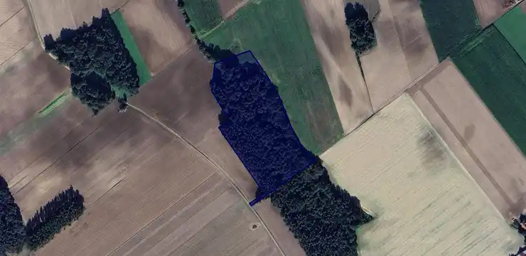 Działka na sprzedaż - WIELKOPOLSKIE, kościański, Śmigiel, Żegrówko 295/1