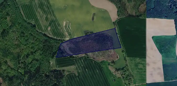 Działka na sprzedaż - WARMIŃSKO-MAZURSKIE, ostródzki, Miłakowo, Polkajny 156/71