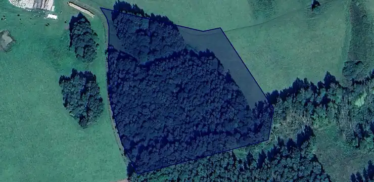 Działka na sprzedaż - WARMIŃSKO-MAZURSKIE, braniewski, Pieniężno, Pajtuny 66/3