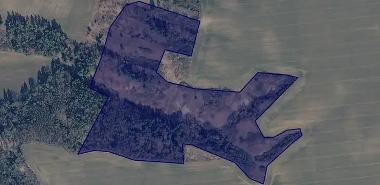 Działka na sprzedaż - LUBUSKIE, słubicki, Górzyca, Pamięcin 1/3