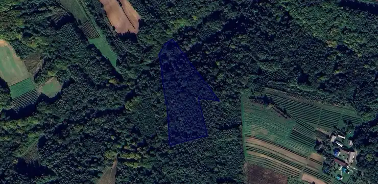 Działka na sprzedaż - LUBELSKIE, biłgorajski, Goraj, Teodorówka 1305