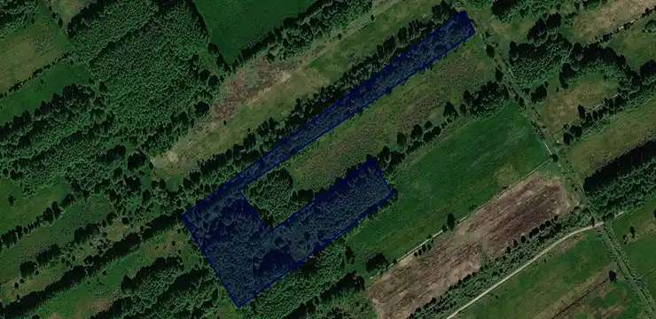 Działka na sprzedaż - LUBUSKIE, strzelecko-drezdenecki, Zwierzyn, Górki Noteckie 663/1