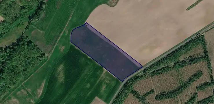 Działka na sprzedaż - ZACHODNIOPOMORSKIE, gryfiński, Chojna, Rurka 223