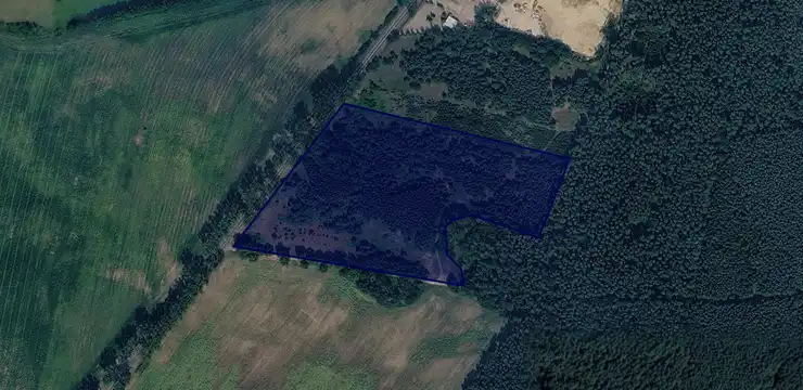 Działka na sprzedaż - WIELKOPOLSKIE, ostrzeszowski, Kobyla Góra, Pisarzowice 167/2