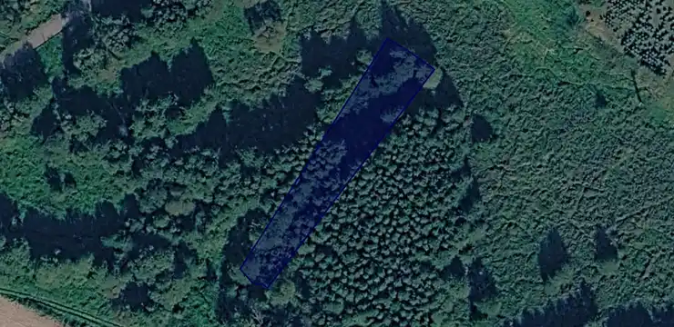 Działka na sprzedaż - ŚLĄSKIE, gliwicki, Rudziniec, Słupsko 5