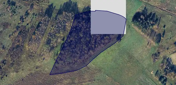 Działka na sprzedaż - ŚLĄSKIE, myszkowski, Koziegłowy, 2401