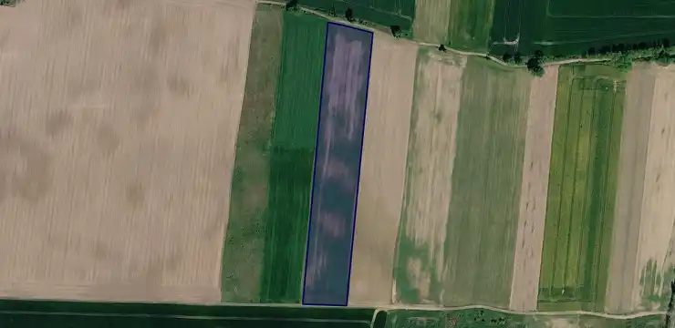 Działka na sprzedaż - ZACHODNIOPOMORSKIE, gryfiński, Chojna, Nawodna 834