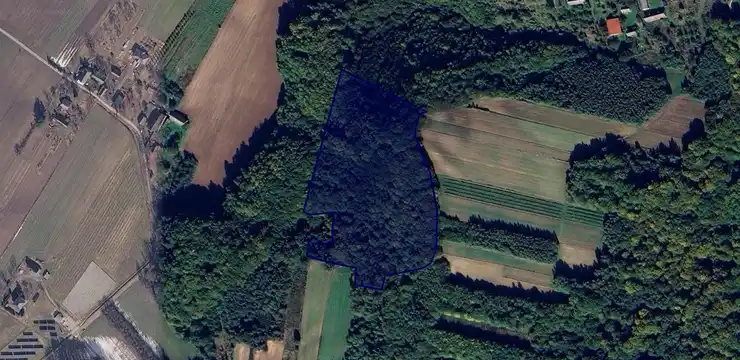 Działka na sprzedaż - LUBELSKIE, biłgorajski, Goraj, Radzięcin 639
