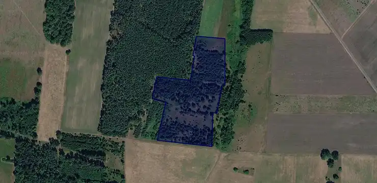 Działka na sprzedaż - LUBUSKIE, żarski, Trzebiel, Karsówka 183/3