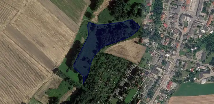 Działka na sprzedaż - OPOLSKIE, prudnicki, Biała, 1172
