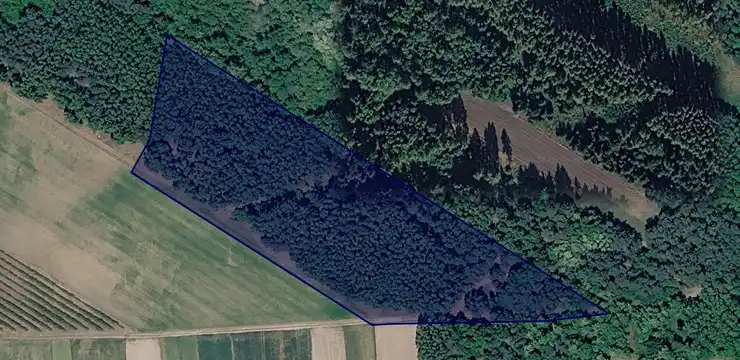 Działka na sprzedaż - ŁÓDZKIE, skierniewicki, Lipce Reymontowskie, Wola Drzewiecka 810