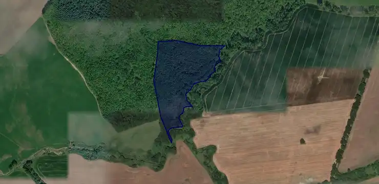 Działka na sprzedaż - WARMIŃSKO-MAZURSKIE, braniewski, Wilczęta, Gładysze 6