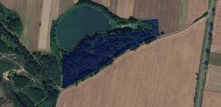 Działka na sprzedaż - ZACHODNIOPOMORSKIE, myśliborski, Dębno, Sarbinowo 356