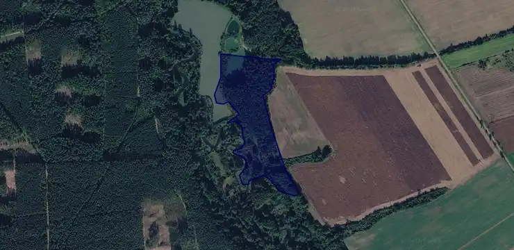 Działka na sprzedaż - LUBUSKIE, międzyrzecki, Bledzew, Stary Dworek 154/8