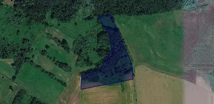 Działka na sprzedaż - LUBELSKIE, chełmski, Siedliszcze, Brzeziny 1