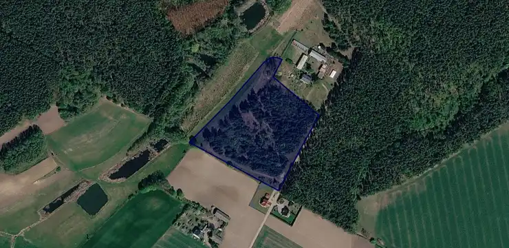 Działka na sprzedaż - WIELKOPOLSKIE, wągrowiecki, Mieścisko, 597
