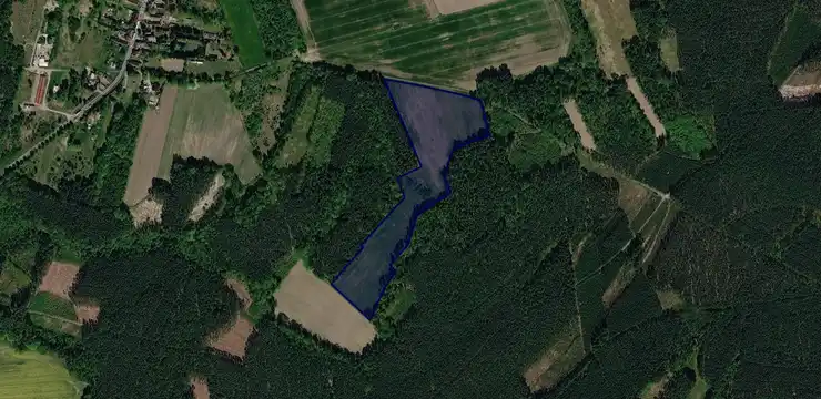 Działka na sprzedaż - LUBUSKIE, żarski, Trzebiel, Buczyny 126/2