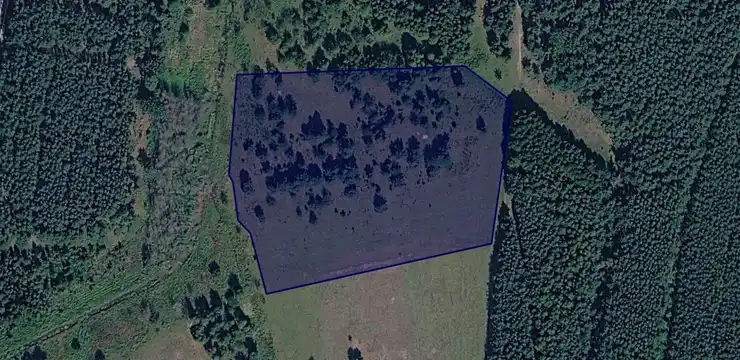 Działka na sprzedaż - DOLNOŚLĄSKIE, zgorzelecki, Węgliniec, Jagodzin 305/2