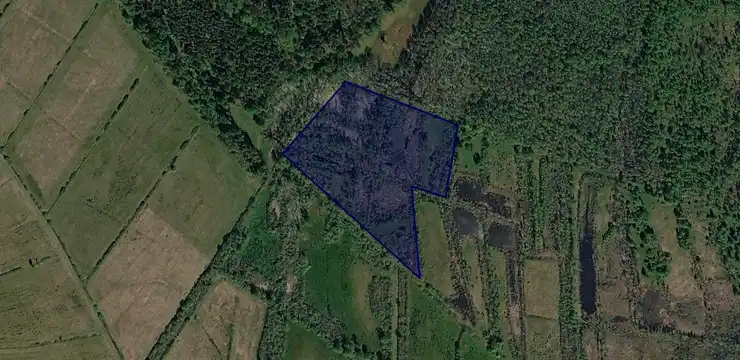 Działka na sprzedaż - WARMIŃSKO-MAZURSKIE, działdowski, Rybno, Koszelewki 213