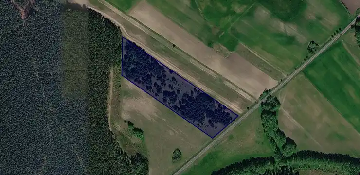 Działka na sprzedaż - ZACHODNIOPOMORSKIE, myśliborski, Dębno, Ostrowiec 148