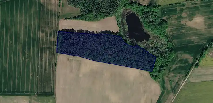 Działka na sprzedaż - LUBUSKIE, międzyrzecki, Bledzew, Nowa Wieś 509/4