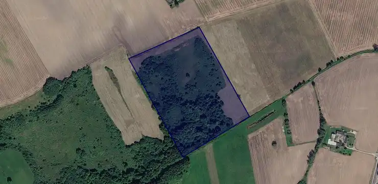 Działka na sprzedaż - WIELKOPOLSKIE, szamotulski, Pniewy, Karmin 182
