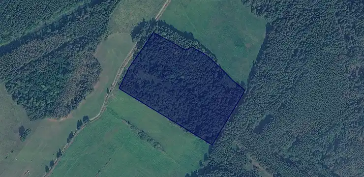 Działka na sprzedaż - DOLNOŚLĄSKIE, górowski, Niechlów, Siciny 902/4
