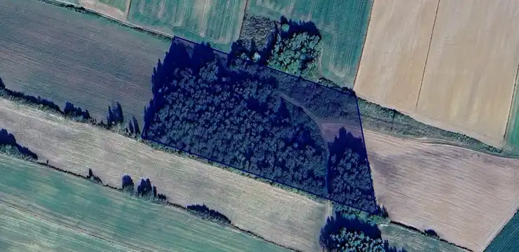 Działka na sprzedaż - LUBELSKIE, zamojski, Grabowiec, Bereść 565/1
