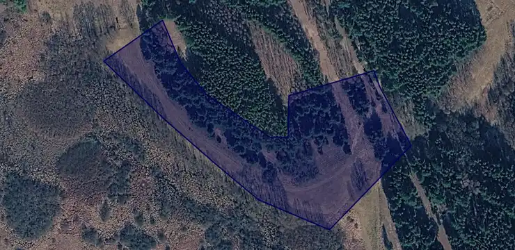 Działka na sprzedaż - KUJAWSKO-POMORSKIE, świecki, Jeżewo, Nadl Dąbrowa 89