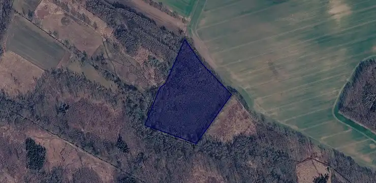 Działka na sprzedaż - DOLNOŚLĄSKIE, strzeliński, Wiązów, Łojowice 215