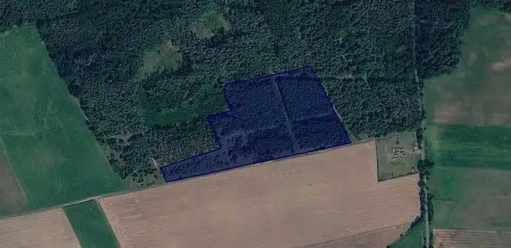 Działka na sprzedaż - LUBUSKIE, krośnieński, Krosno Odrzańskie, Bielów 391