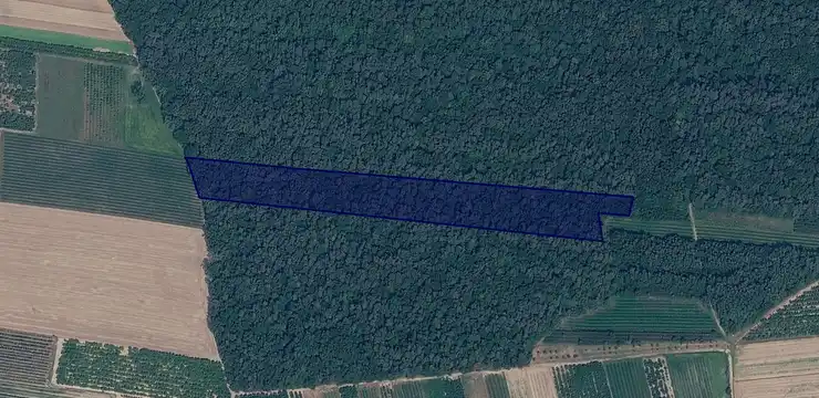 Działka na sprzedaż - LUBELSKIE, świdnicki, Rybczewice, 69