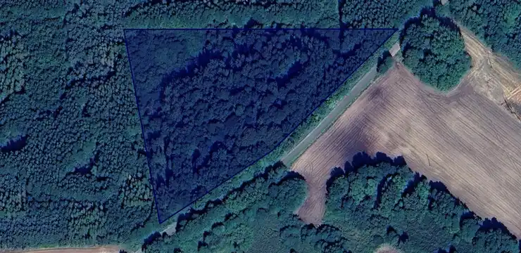Działka na sprzedaż - WARMIŃSKO-MAZURSKIE, braniewski, Lelkowo, Krzekoty 101