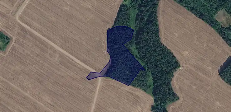 Działka na sprzedaż - DOLNOŚLĄSKIE, złotoryjski, Świerzawa, Nowy Kościół 320/2