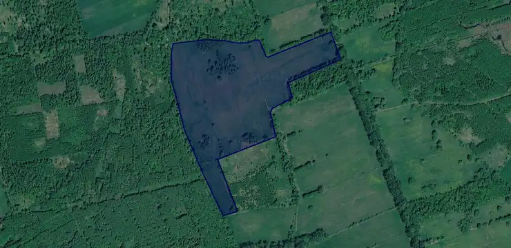 Działka na sprzedaż - WIELKOPOLSKIE, grodziski, Kamieniec, Sepno 92/1