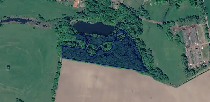 Działka na sprzedaż - LUBUSKIE, międzyrzecki, Skwierzyna, Świniary 325/2