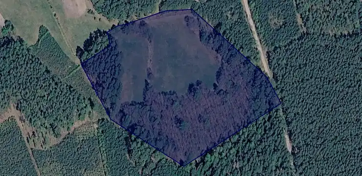 Działka na sprzedaż - POMORSKIE, człuchowski, Debrzno, Prusinowo 95