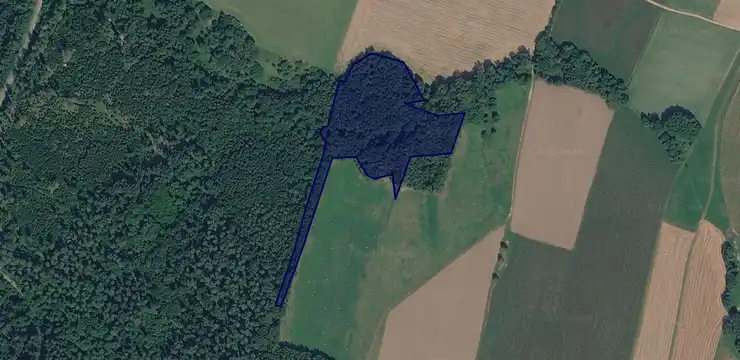 Działka na sprzedaż - DOLNOŚLĄSKIE, kłodzki, Bystrzyca Kłodzka, Wilkanów 1015/2