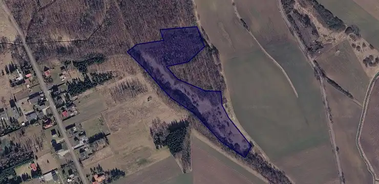 Działka na sprzedaż - DOLNOŚLĄSKIE, legnicki, Prochowice, Rogów Legnicki 88/1