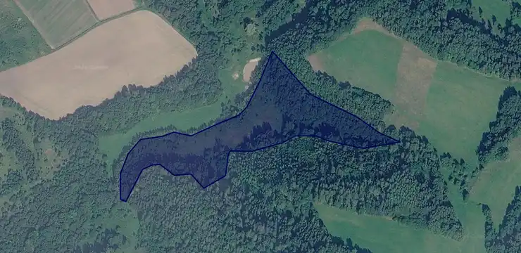 Działka na sprzedaż - DOLNOŚLĄSKIE, lwówecki, Lubomierz, Pławna 1779/1