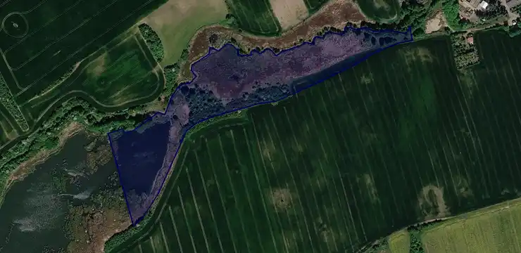 Działka na sprzedaż - ZACHODNIOPOMORSKIE, gryfiński, Moryń, Przyjezierze II 239/1