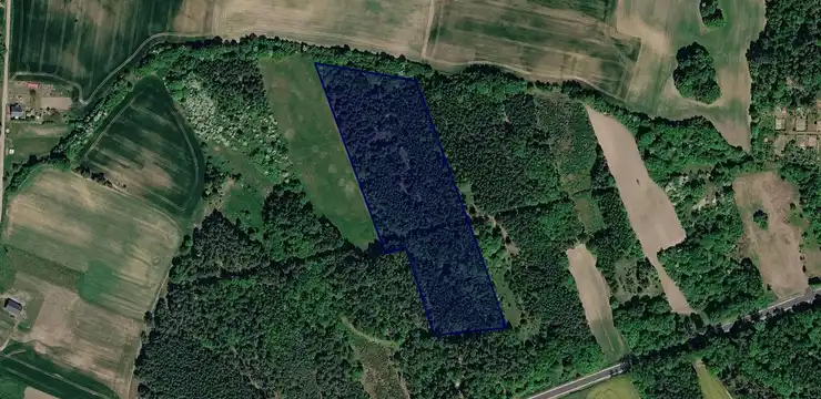 Działka na sprzedaż - LUBUSKIE, sulęciński, Sulęcin, Trzemeszno 273/1