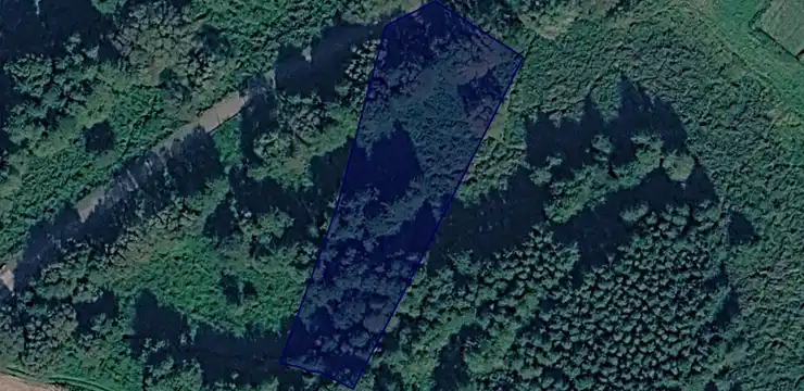 Działka na sprzedaż - ŚLĄSKIE, gliwicki, Rudziniec, Słupsko 3