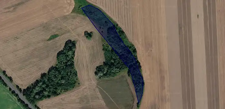 Działka na sprzedaż - ZACHODNIOPOMORSKIE, pyrzycki, Pyrzyce, Ryszewko 306/1