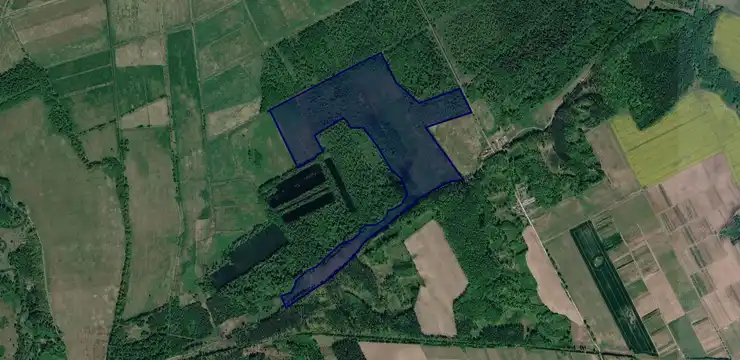 Działka na sprzedaż - WARMIŃSKO-MAZURSKIE, braniewski, Braniewo, Podgórze 1/15